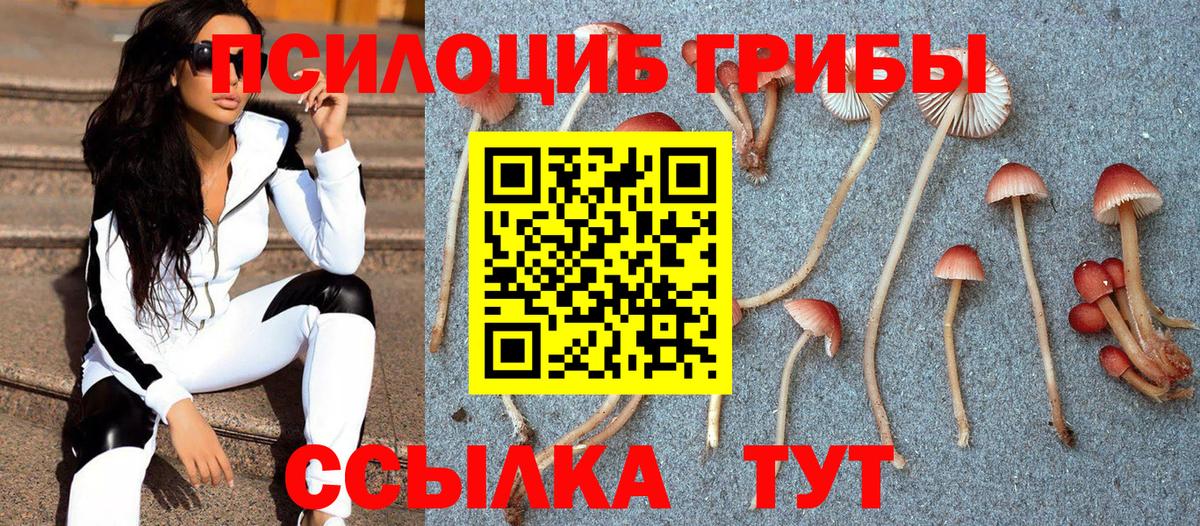 Галлюциногенные грибы прущие грибы Слободской